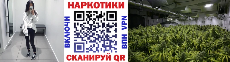 Купить наркотик аптеки Нерехта Бутират  Cocaine  mega вход  ГАШ  Меф мяу мяу 