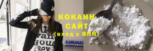 хмурый Новозыбков