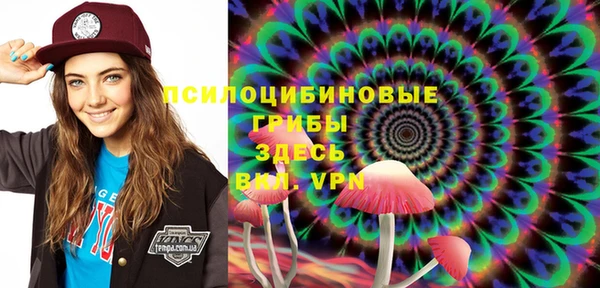 гашик Нягань