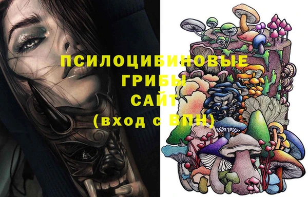гашик Нягань