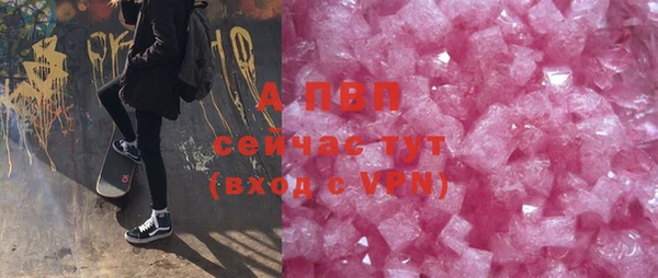 хмурый Новозыбков