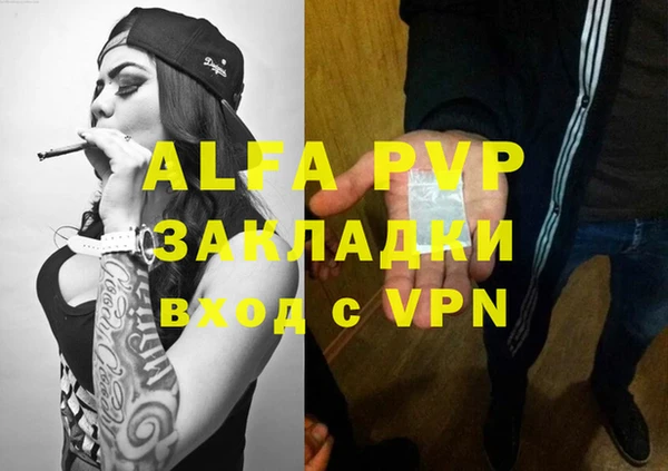 дурь Новодвинск